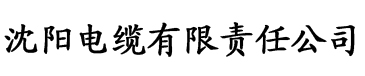 偷鸡不成蚀把米黄金圣斗士废文网电缆厂logo